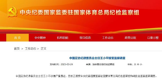 国产精品9999久久久久