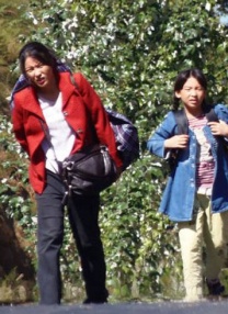 一区二区国产在线观看
